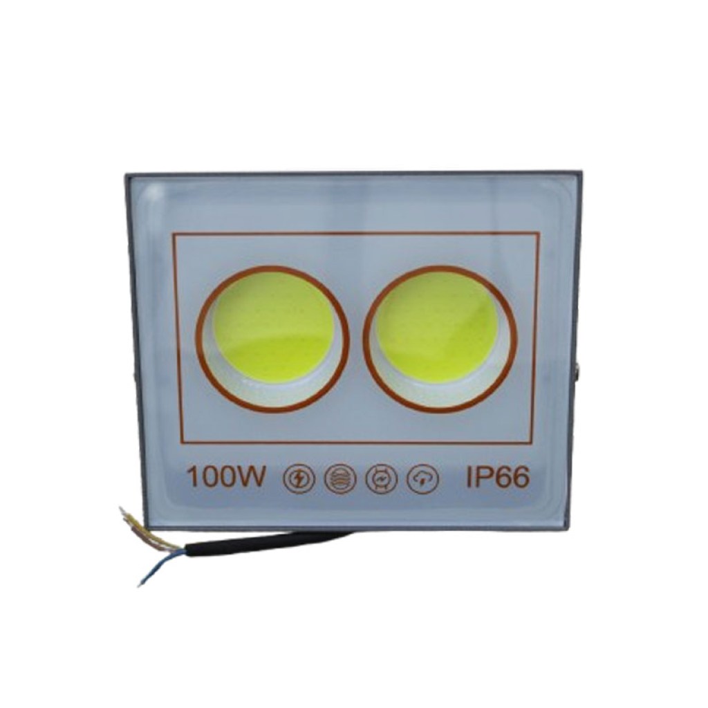 light 100w ip66